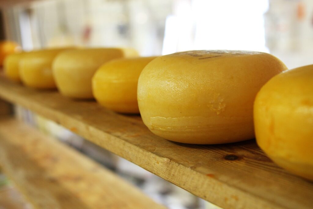 high-fat-cheese-and-cream-new-study-links-to-lower-dementia-risk