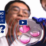 innovative-gene-therapy-offers-hope-for-heart-disease-treatment