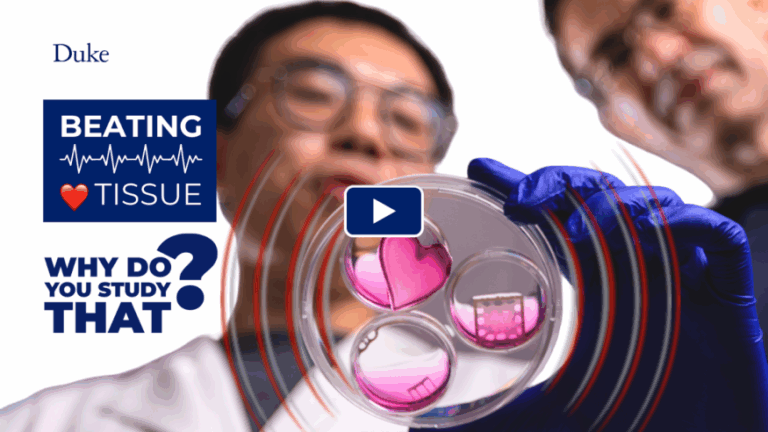 innovative-gene-therapy-offers-hope-for-heart-disease-treatment