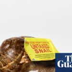 inside-terry-ball-s-snail-farm-tax-scheme-a-tale-of-loopholes-and-mafia-ties