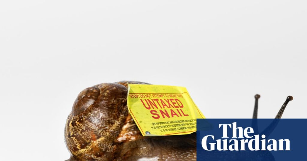inside-the-snail-farm-tax-scheme-a-tale-of-loopholes-and-the-mafia