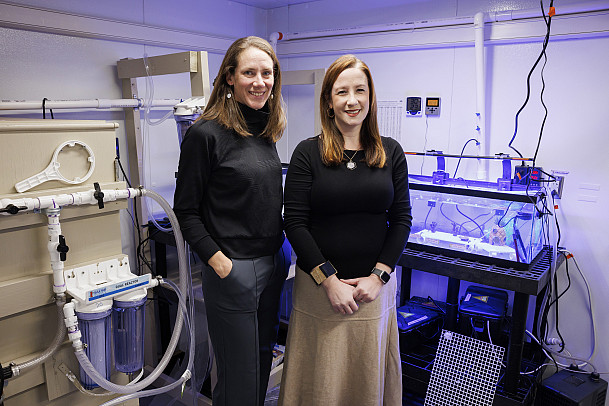 Laura Brown, Julia van Kessel