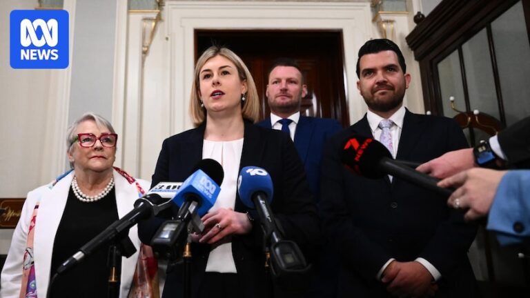 jess-wilson-elected-first-female-leader-of-victorian-liberal-party
