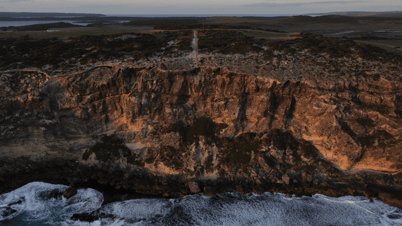 kangaroo-island-s-bold-plan-to-eradicate-feral-cats-a-conservation-milestone