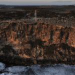 kangaroo-island-s-bold-plan-to-eradicate-feral-cats-a-conservation-revolution