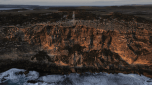 kangaroo-island-s-bold-plan-to-eradicate-feral-cats-a-conservation-revolution