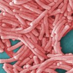legionnaires-disease-outbreak-in-sydney-cbd-expands-to-four-cases