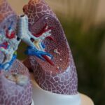 lung-microbiome-s-role-in-pneumonia-recovery-unveiled-by-new-study