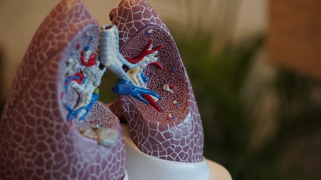 lung-microbiome-s-role-in-pneumonia-recovery-unveiled-by-new-study
