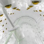 lux-zeplin-detector-unveils-new-insights-into-dark-matter-and-neutrinos