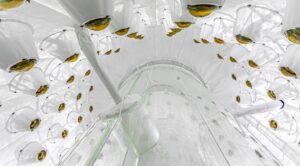 lux-zeplin-detector-unveils-new-insights-into-dark-matter-and-neutrinos