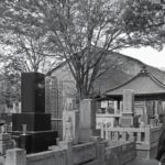 navigating-grief-in-the-age-of-ai-a-new-era-of-mourning