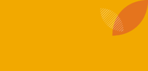 niacin-a-potential-breakthrough-in-boosting-older-mare-fertility