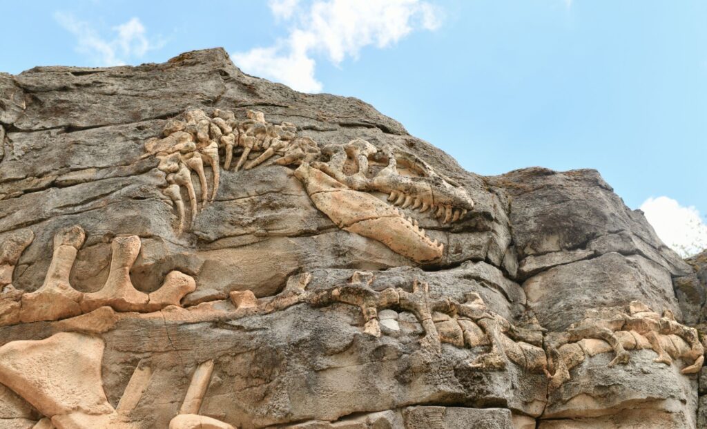 nine-ton-dinosaur-with-duck-like-face-unearthed-in-new-mexico