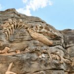 nine-ton-dinosaur-with-duck-like-face-unearthed-in-new-mexico