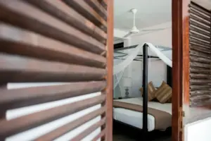 nsw-health-issues-early-mosquito-warning-as-viruses-detected