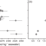 ocean-acidification-alters-coral-reef-communities-new-study-reveals