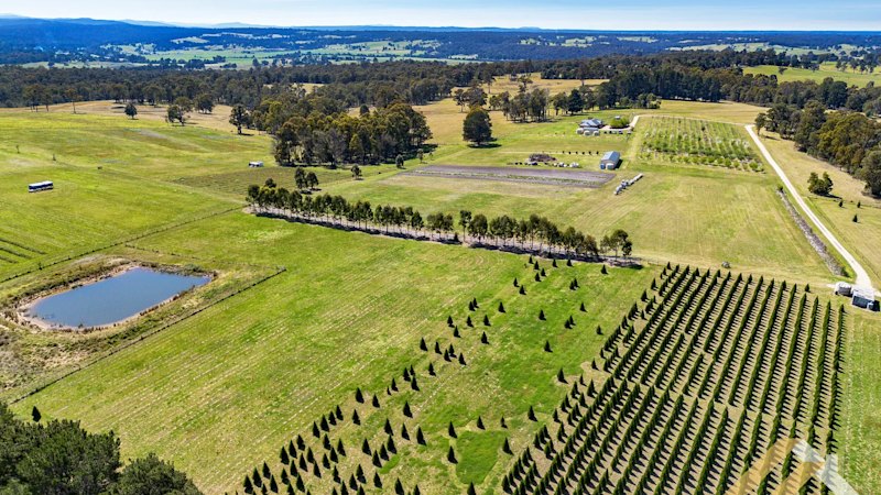 own-a-christmas-tree-farm-and-home-in-victoria-for-2-3-million