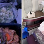 qatar-airways-a-comprehensive-review-of-economy-and-business-class-experiences