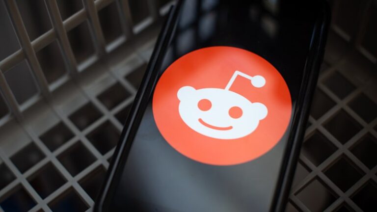 reddit-challenges-australia-s-social-media-ban-for-minors-in-high-court-1