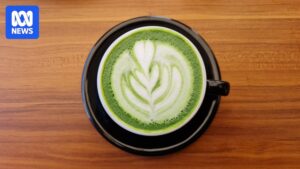 rising-demand-for-matcha-boosts-japanese-farmers-amid-counterfeit-concerns