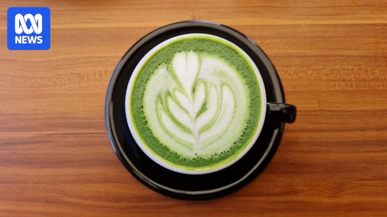 rising-demand-for-matcha-boosts-japanese-farmers-amid-counterfeit-concerns