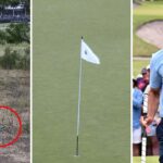 rory-mcilroy-s-stunning-comeback-highlights-thrilling-australian-open