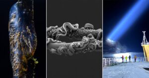 royal-society-photography-competition-2025-celebrating-science-through-art
