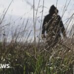 rural-crime-crackdown-targets-organised-gangs-in-uk-countryside