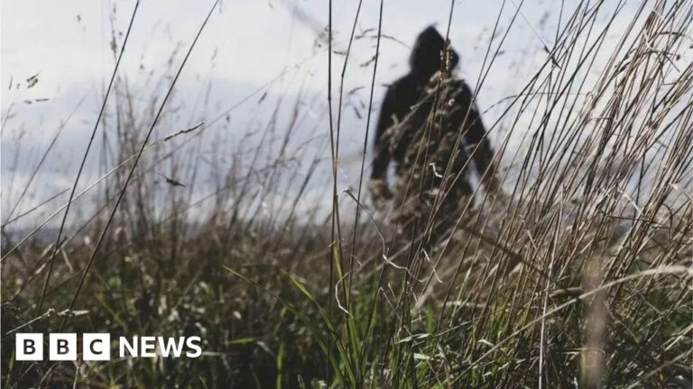 rural-crime-crackdown-targets-organised-gangs-in-uk-countryside