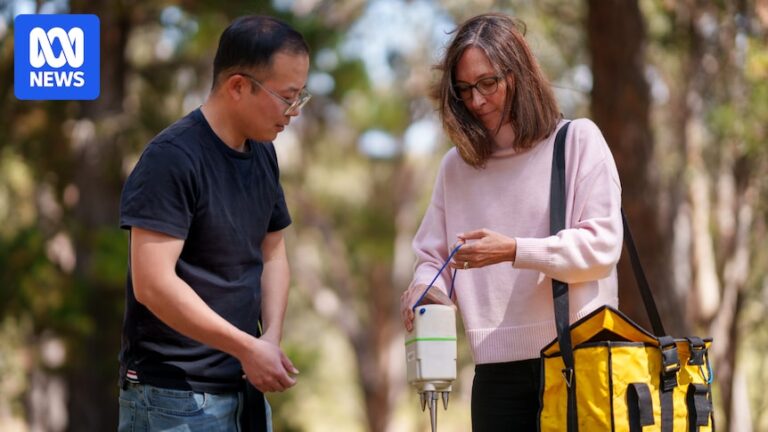 scientists-use-road-noise-to-map-lake-george-s-hidden-earthquake-fault