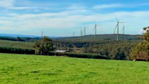 sec-acquires-gippsland-wind-farm-for-700-million-to-boost-renewable-energy