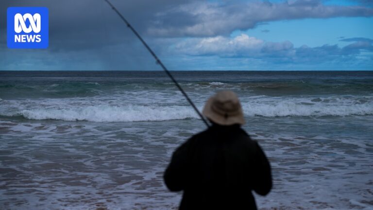 south-australia-eases-fishing-restrictions-amid-algal-bloom-recovery