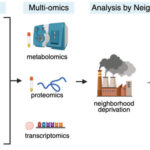 study-reveals-link-between-er-breast-cancer-and-neighborhood-poverty