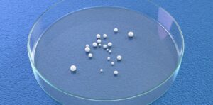 the-ethical-dilemma-of-brain-organoids-science-outpaces-regulation