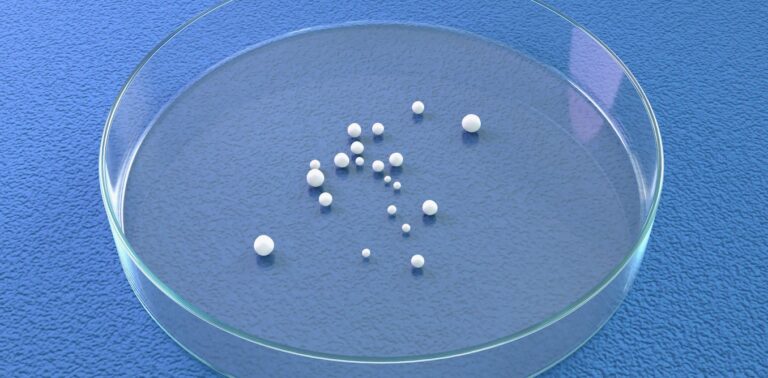 the-ethical-dilemma-of-brain-organoids-science-outpaces-regulation