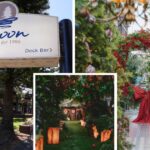 the-grounds-of-alexandria-to-transform-iconic-lagoon-restaurant-site