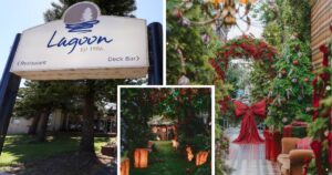 the-grounds-of-alexandria-to-transform-iconic-lagoon-restaurant-site