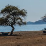 timor-leste-faces-new-threat-as-asian-scam-gangs-eye-expansion