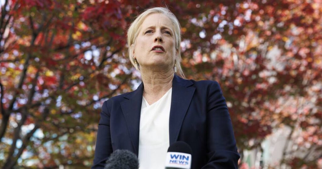 treasurer-chalmers-announces-1-billion-aps-savings-in-budget-update