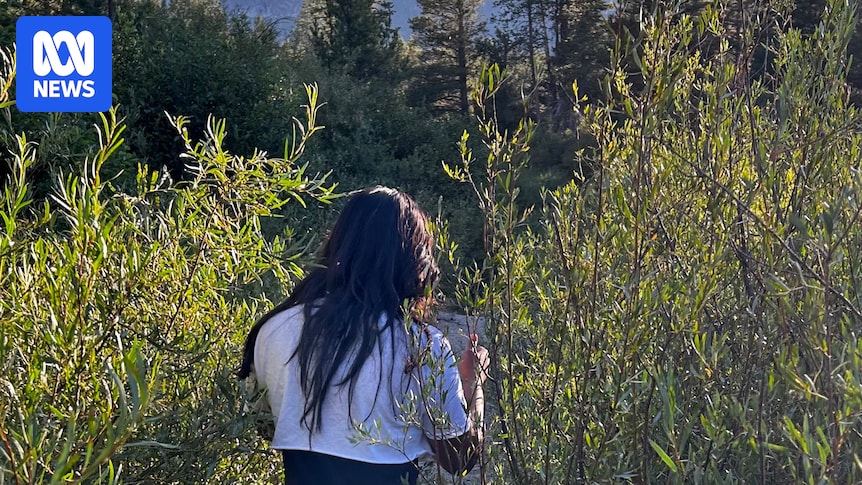 us-migrants-face-uncertainty-amid-policy-shifts-and-security-concerns