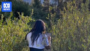 us-migrants-fear-deportation-amid-rising-immigration-restrictions