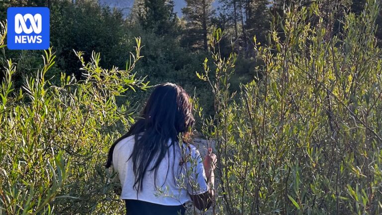 us-migrants-fear-deportation-amid-rising-immigration-restrictions