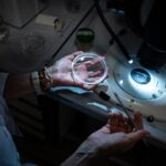 who-seeks-top-experts-for-science-council-amid-global-health-challenges