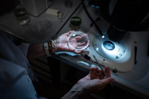 who-seeks-top-experts-for-science-council-amid-global-health-challenges