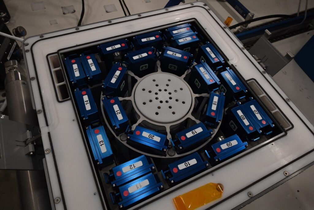 worm-experiments-reveal-hidden-health-risks-of-deep-space-travel