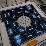 worm-experiments-reveal-hidden-health-risks-of-deep-space-travel