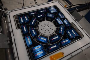 worm-experiments-reveal-hidden-health-risks-of-deep-space-travel