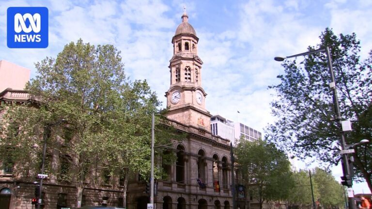 adelaide-council-considers-backing-guerilla-literary-festival-amid-cultural-void