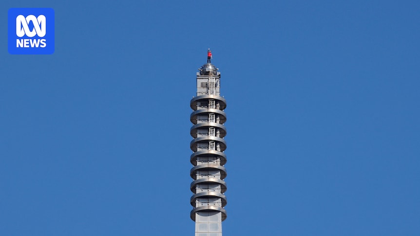 alex-honnold-s-historic-ropeless-climb-of-taipei-101-captivates-global-audience